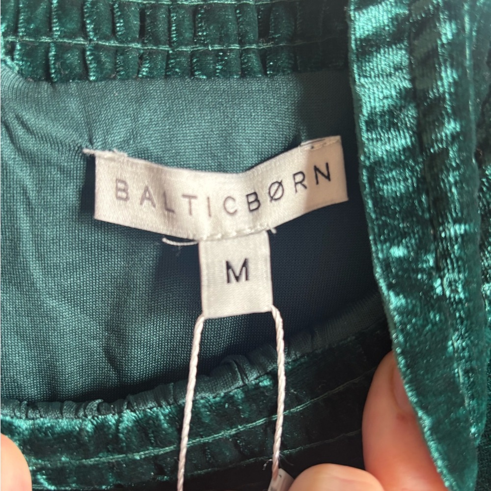 Baltic Born Emerald Green Velvet Dress - Picture 4 of 7